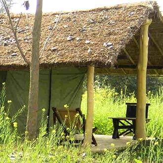 Corbett Village Camp, Corbett 1